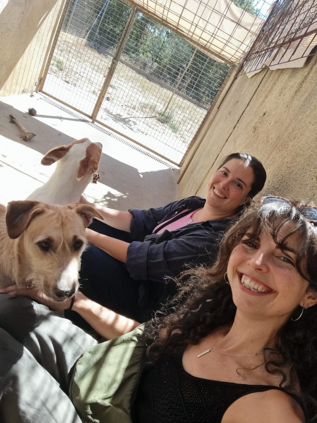 A joyful selfie with rescue dogs at the shelter
