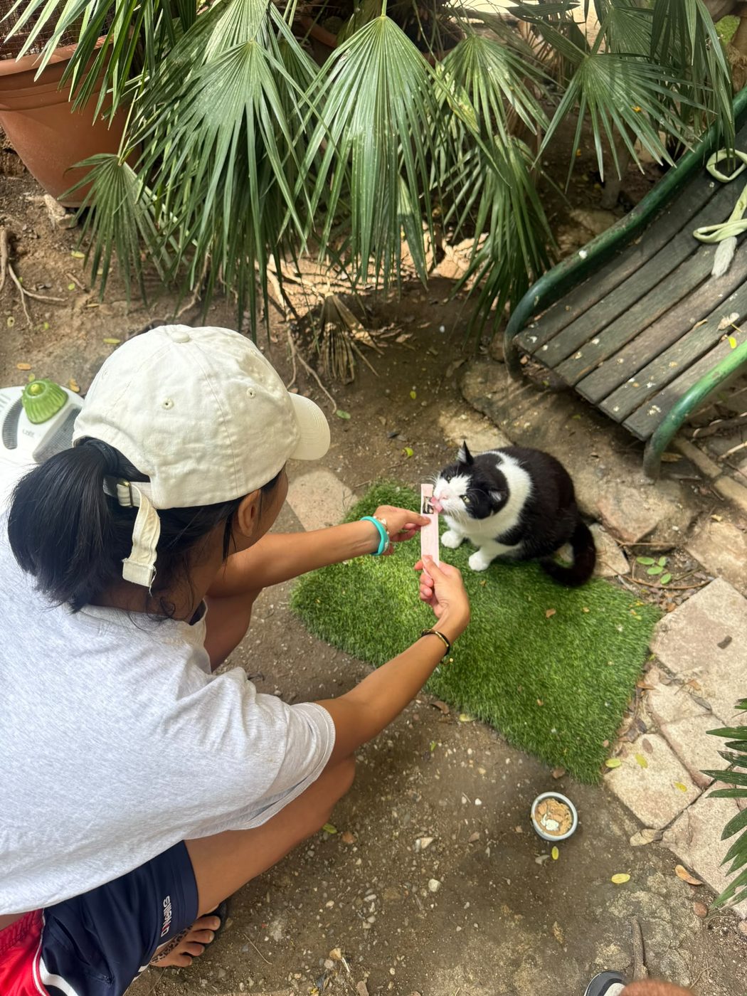 A volunteer feeding a Churu treat to a cat at the sanctuary